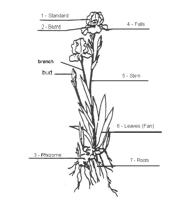 CIP 09 - 01