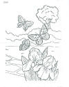 2020 Coloring Contest Blank