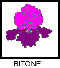 bitone